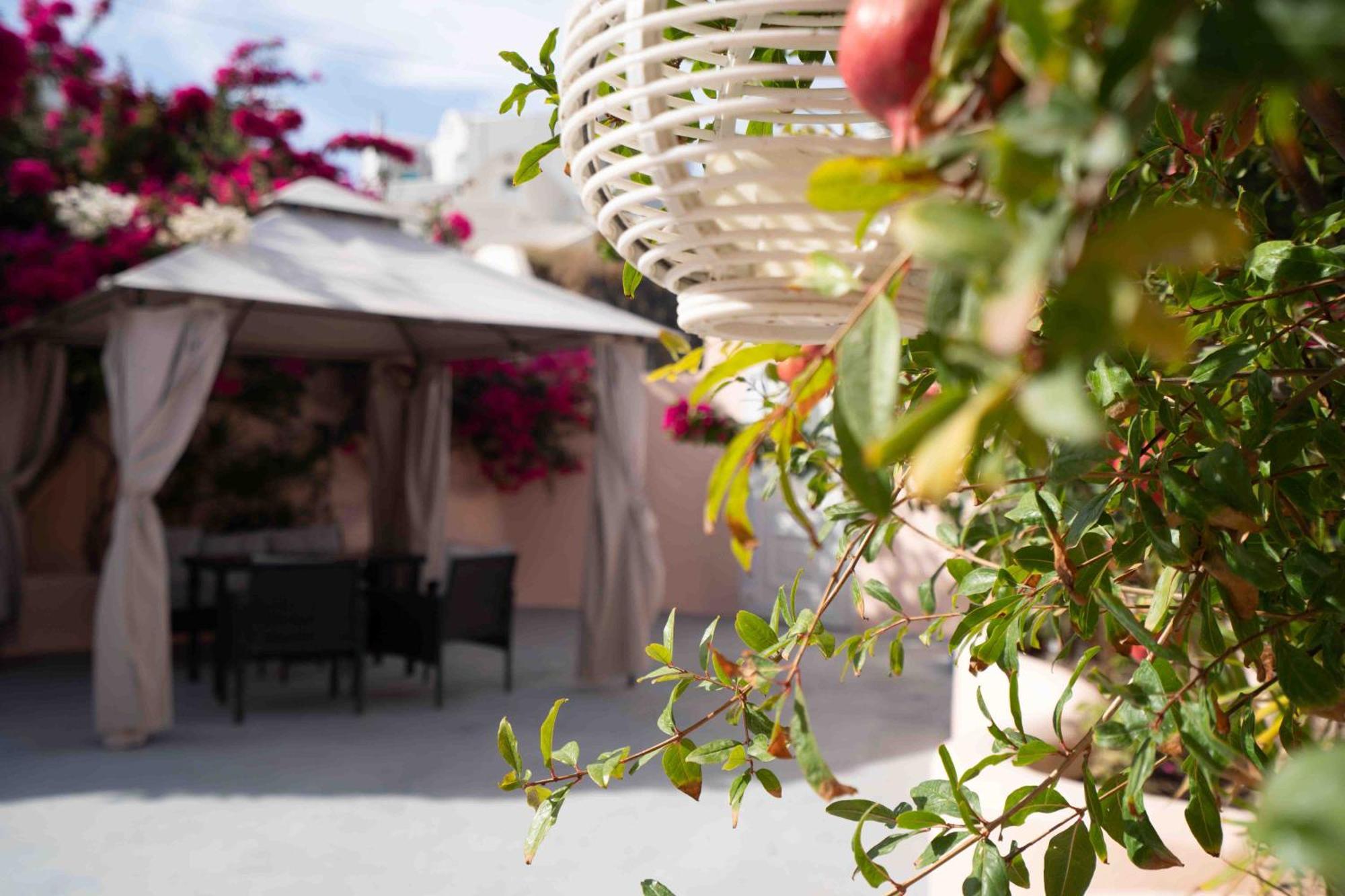 Holiday home Bird Nest-santorini Cave