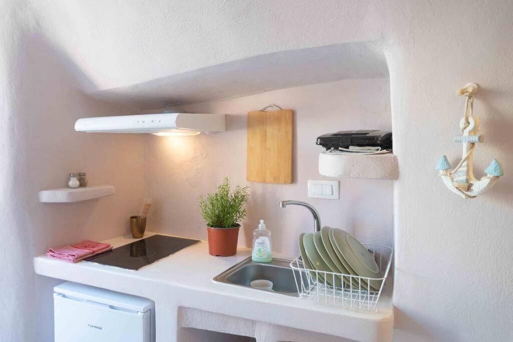 Bird Nest-santorini Cave Holiday home Fira (Santorini)