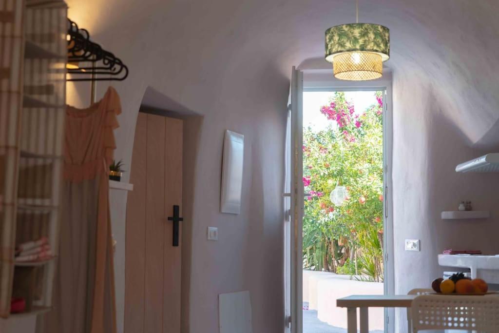 Bird Nest-santorini Cave Holiday home