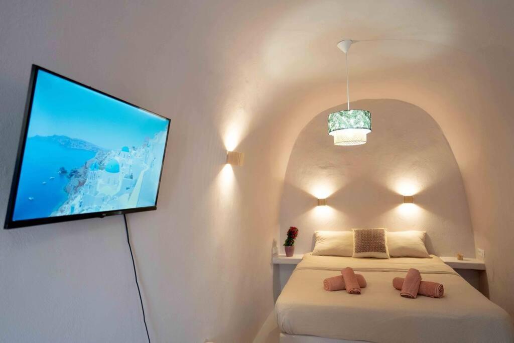 Bird Nest-santorini Cave Holiday home